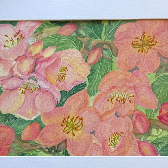 PAINTING WATERCOLOR ORIGINAL ART PEACH BLOSSOM FLOWER PINK 11X14 WHITE MAT 16X20
